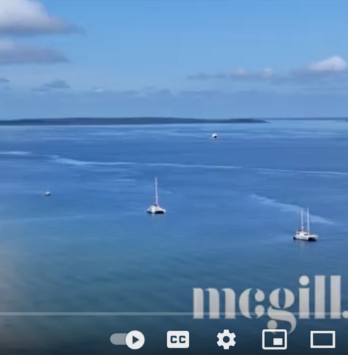 Video Fraser Island Real Estate
